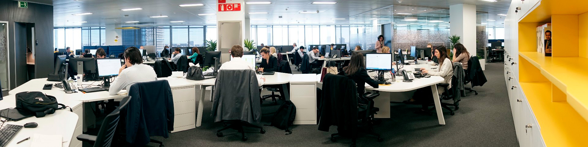 ELIGE TU FUTURO 2020 - EMPLEO - EY