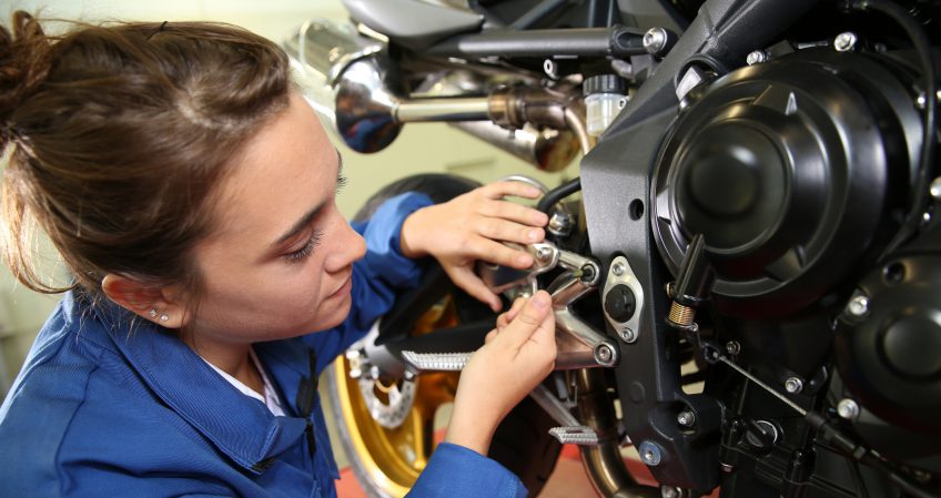 Familias Profesionales de FP