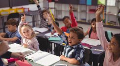 Grado en Maestro en Educación Primaria