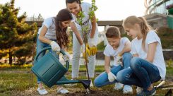 Técnico Superior en Educación y Control Ambiental