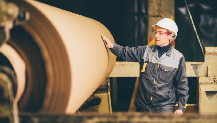 Técnico Superior en Industrias de Proceso de Pasta y Papel