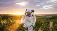 Técnico Superior en Salud Ambiental