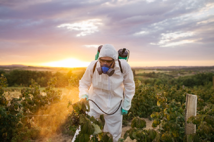 Técnico Superior en Salud Ambiental