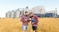 Técnico Superior en Gestión y Organización de Empresas Agropecuarias