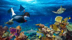 Grado en Ciencias del Mar