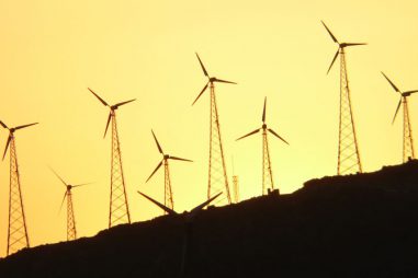 Cómo elegir un programa