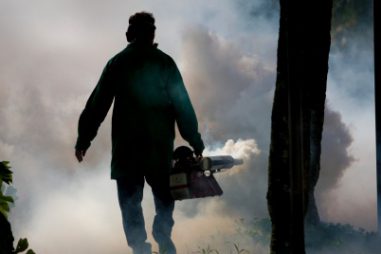 Controlador de plagas