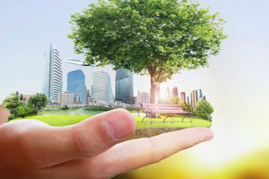 Cómo financiar los estudios de medio ambiente