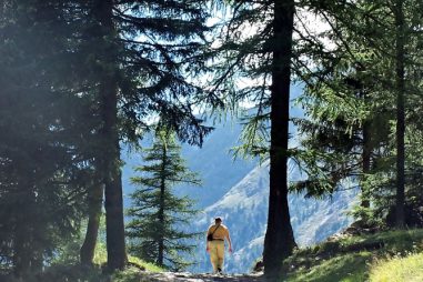 Estudiar en verde: cursos, grados…