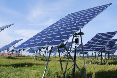 Cómo elegir un centro de medio ambiente