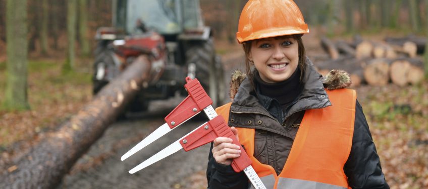 Grado en Ingeniería Forestal