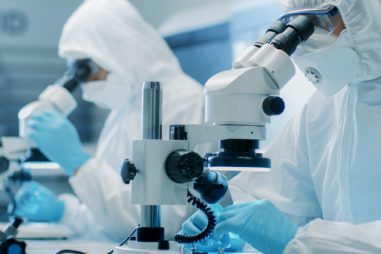 Grado en Ingeniería Biomédica