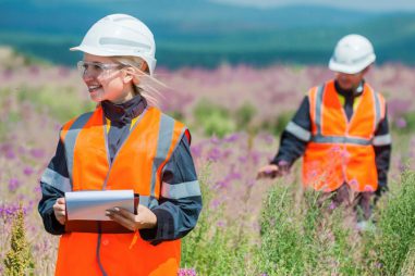 Empleo verde: salidas laborales