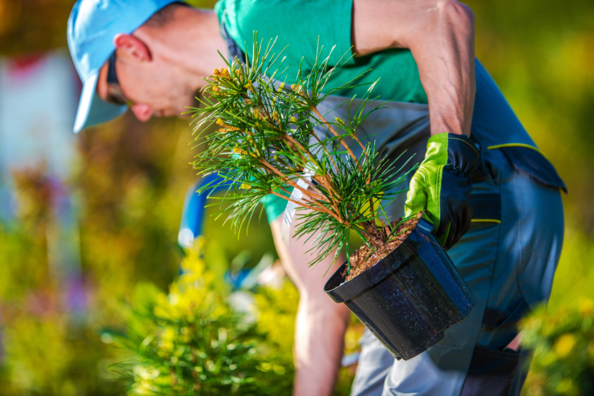 FP-Técnico en jardinería y floristería