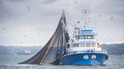 Técnico en Pesca y Transporte Marítimo