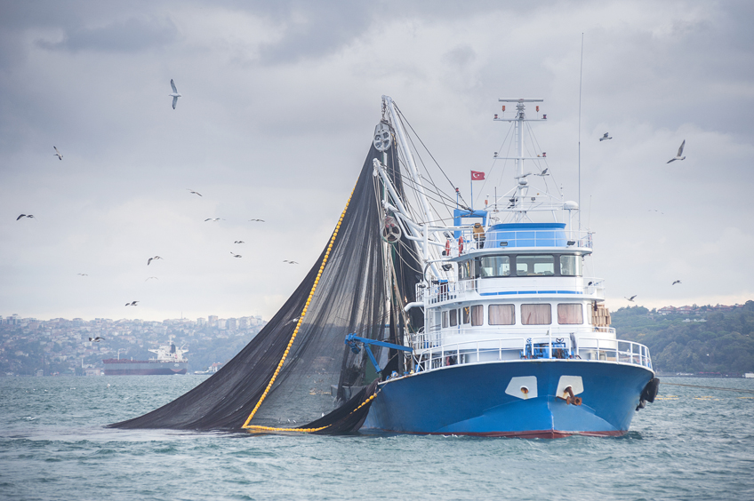 FP- técnico en pesca y transporte marítimo