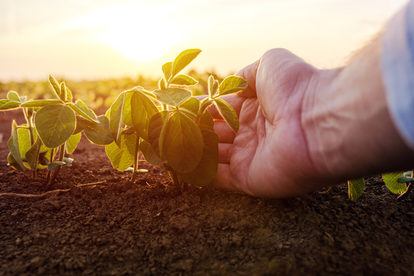 FP- Técnico en Producción Agroecológica