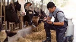 Técnico en Producción Agropecuaria