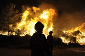trabajadores forestales apagando incendio
