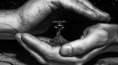 Técnico en gestión de espacios naturales