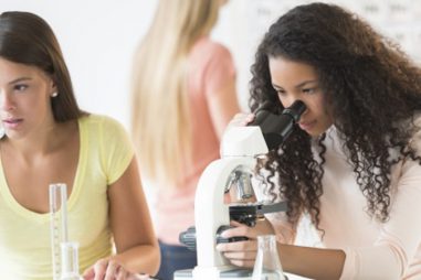 La importancia de las prácticas