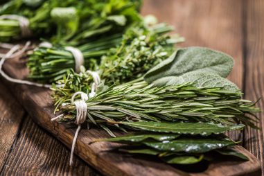 Herbodietista, fitoterapeuta y Dietoterapeuta