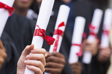 Áreas de estudio y perfiles profesionales