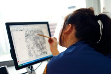 ¿Qué salidas profesionales tiene el grado en Criminología?