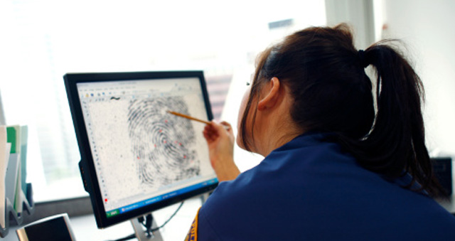 ¿Qué salidas profesionales tiene el grado en Criminología?