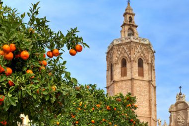 Formación de postgrado en Valencia
