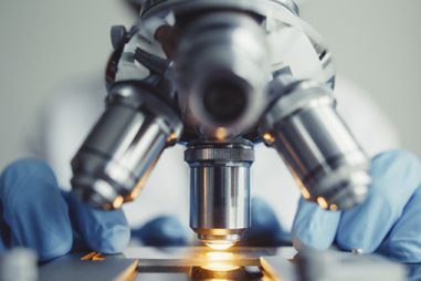 ¿Qué formación te proporciona el Grado en Biotecnología y dónde puedes cursarlo?