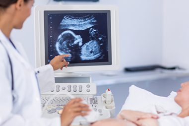 Máster en reproducción humana: todas las opciones de estudio