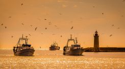Técnico en Navegación y Pesca de Litoral