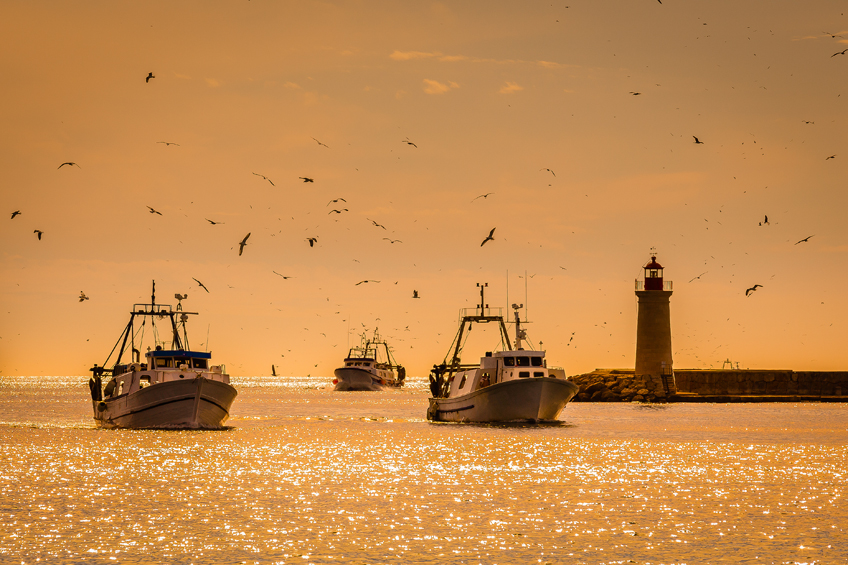 navegacion y pesca de litoral