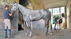 Técnico en Actividades Ecuestres