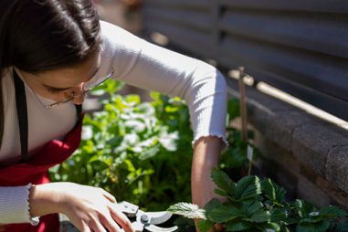 Curso en agricultura ecológica: descubre todo lo que puede aportarte