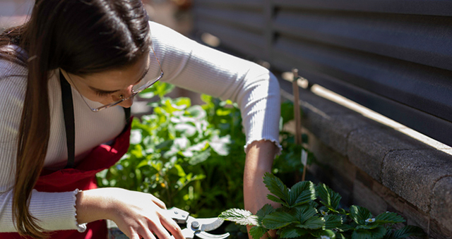 Qué es un curso en agricultura ecológica