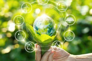 Formando a expertos en gestión medioambiental para un futuro más sostenible