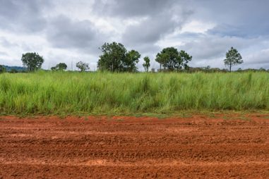 Qué es la edafología y cómo puedes convertirla en tu profesión