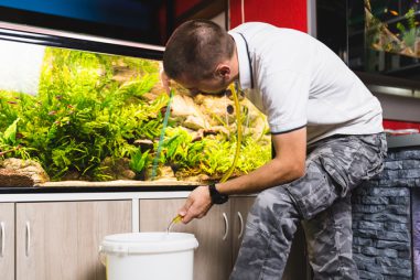 Qué es la acuariofilia marina y cómo convertirla en tu profesión