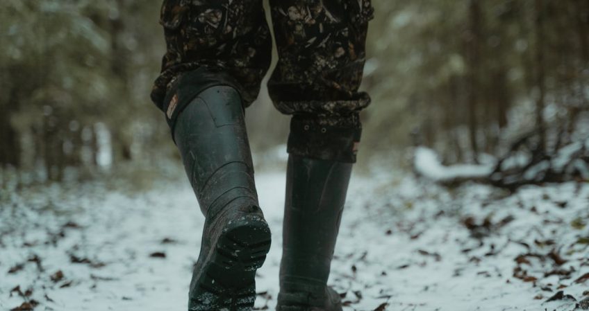 Qué estudiar para ser agente forestal