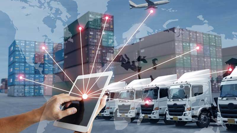 Técnico en exportación: qué funciones tiene y cómo prepararse para el puesto