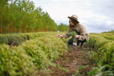 FP Familia Agraria: ¿Qué titulaciones puedes estudiar en esta familia de Formación Profesional y qué salidas profesionales ofrecen?