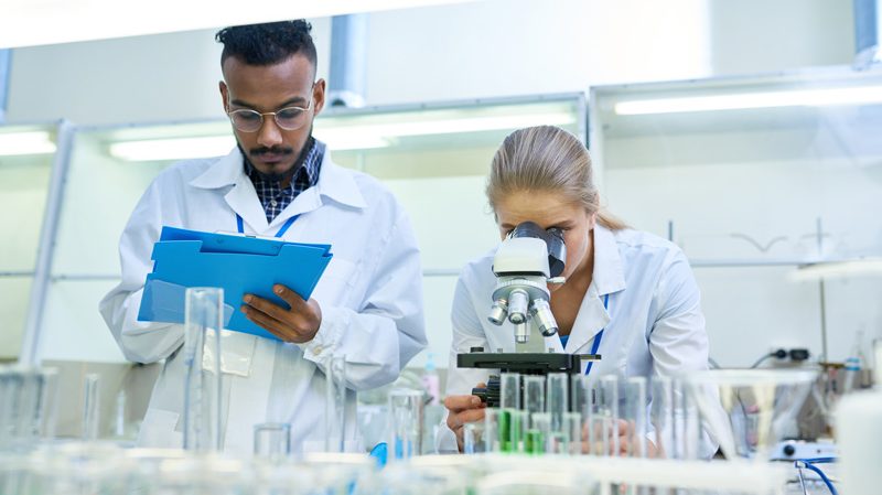 Técnico de Calidad y Medioambiente: ¿Cómo desarrollar esta profesión?