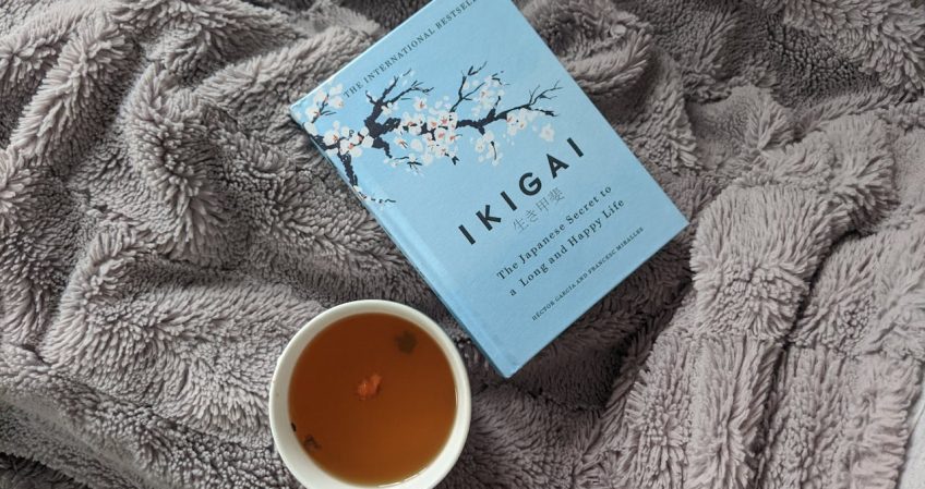 Método Ikigai para elegir tu carrera perfecta