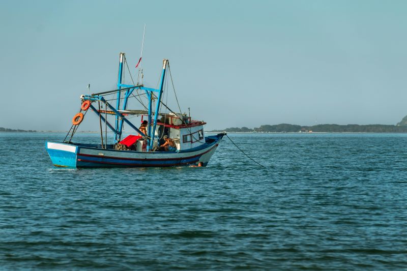 Trabajadores del FP en Actividades marítimo pesqueras pescando