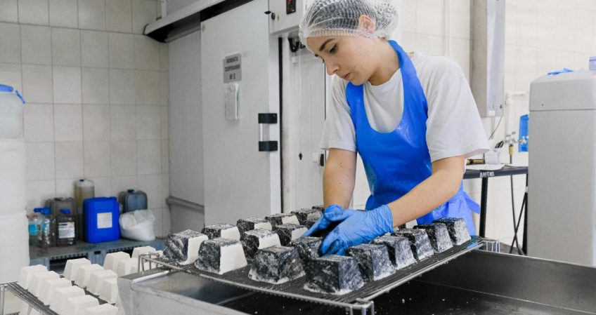 Grado Básico de FP en Industrias Alimentarias