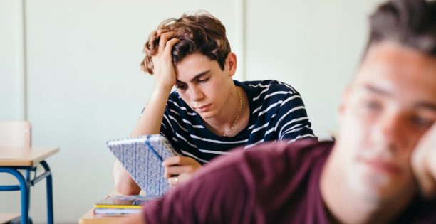 ¿No sabes qué estudiar? Descubre qué te interesa de verdad con esta Guía